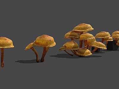 3d野生蘑菇食用菌菇蘑菇模型