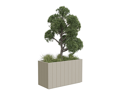 3d室外盆栽模型