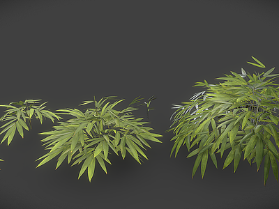 3d竹子叶模型