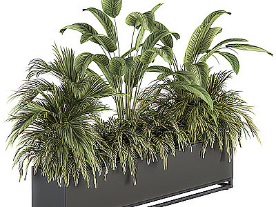 3d植物花坛模型