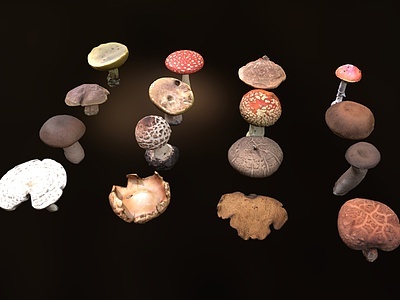3d蘑菇模型