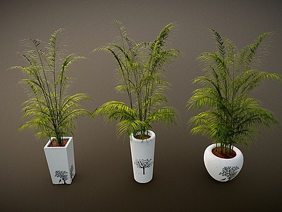 3d绿植盆栽盆景模型