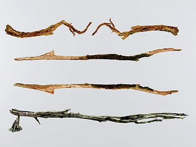 3d自然风树枝模型