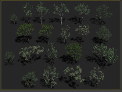 3d常绿树绿树模型