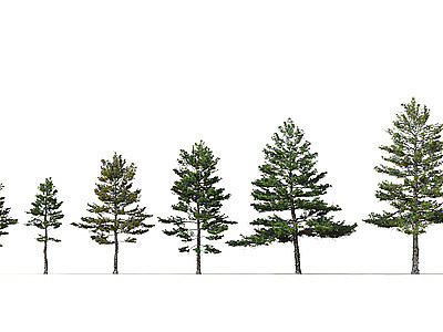 现代树木模型3d模型