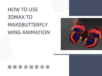 如何使用3DMax制作蝴蝶煽动翅膀动画
